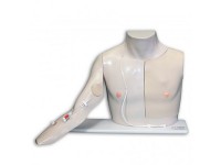 Chester Chest met Poorttoegang Arm