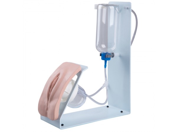 Basis Katheterisatie Simulator, Vrouw