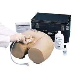 Katheterisatie Simulator, mannelijk Katheterisatie Simulator, mannelijk