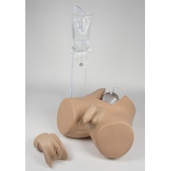 Blaas Katheterisatie Fantoom, man & vrouw