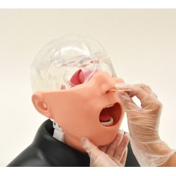 Nasofaryngeaal Uitstrijkje Simulator 