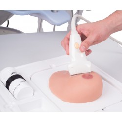 Borstmodel met cysten