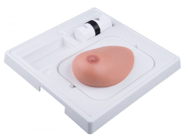 Borstmodel met tumoren