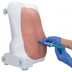 Epidurale & spinale punctie oefenfantoom 