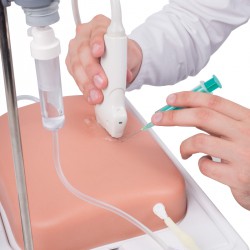 Echografie Trainer Adermodel