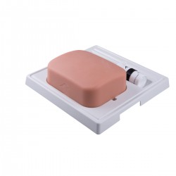 Echografie simulator Galblaas