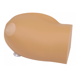 Amy Arm Intraossale Trainer