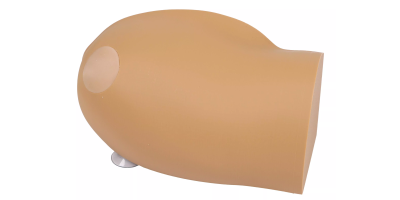 Amy Arm Intraossale Trainer