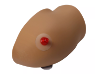 Amy Arm Intraossale Trainer