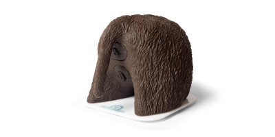 Katheterisatie Simulator Teef Cathy